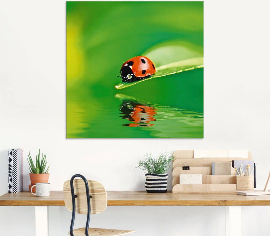 Artland Print op glas Lieveheersbeestje op een blad