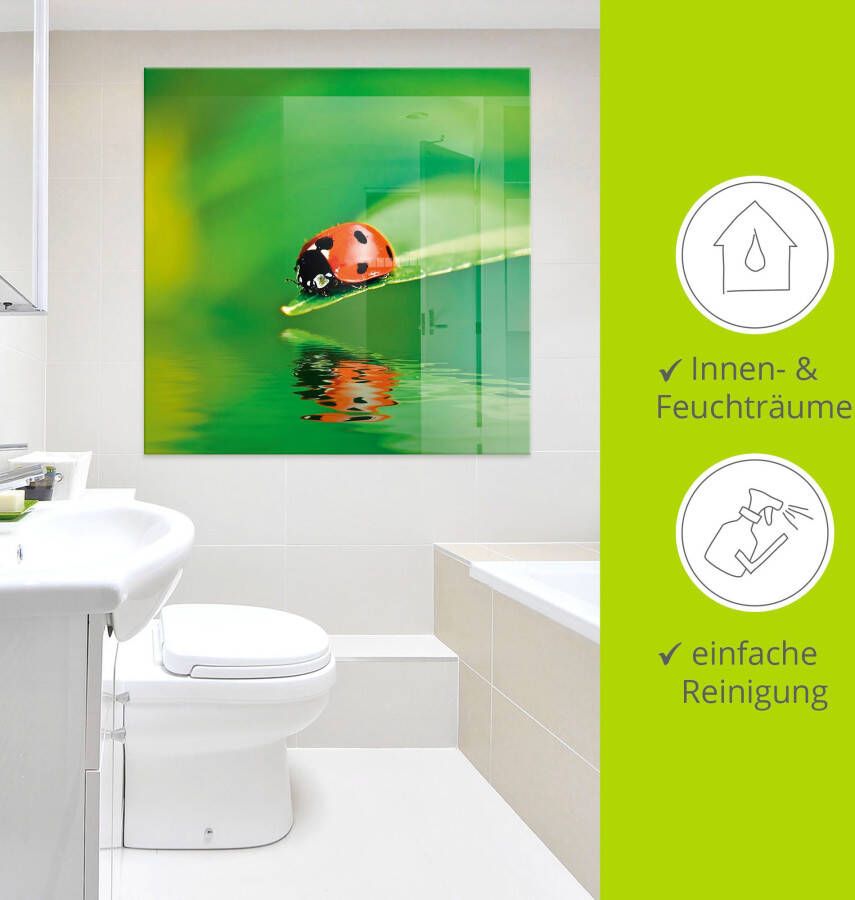 Artland Print op glas Lieveheersbeestje op een blad