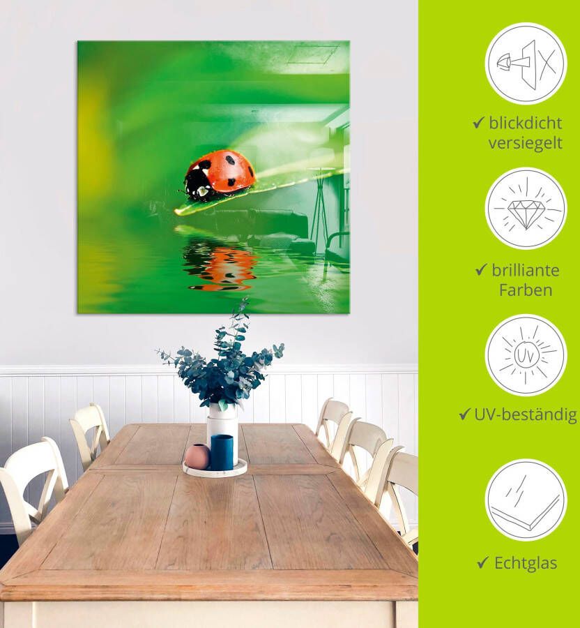 Artland Print op glas Lieveheersbeestje op een blad