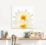 Artland Print op glas Lotusbloem drijft op het water - Thumbnail 3