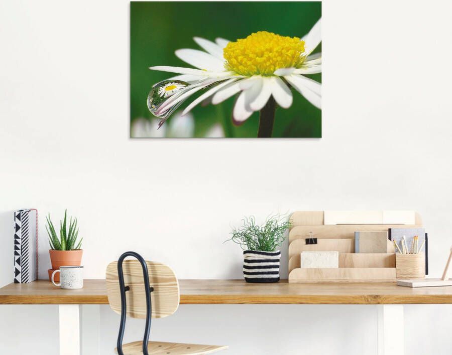 Artland Print op glas Madeliefje met waterdruppels