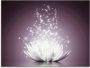 Artland Print op glas Magie van de lotusbloem - Thumbnail 2