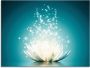 Artland Print op glas Magie van de lotusbloem - Thumbnail 2