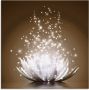 Artland Print op glas Magie van de lotusbloem - Thumbnail 2