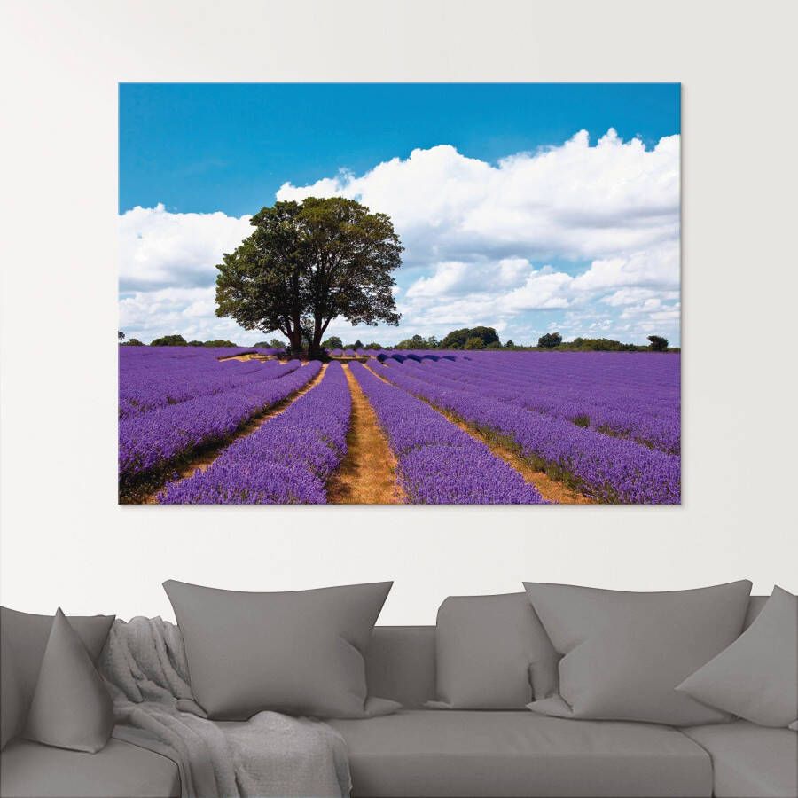 Artland Print op glas Mooi lavendelveld in de zomer