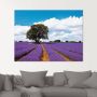 Artland Print op glas Mooi lavendelveld in de zomer - Thumbnail 3