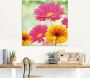 Artland Print op glas Natuurlijke romantiek Gerberas - Thumbnail 2