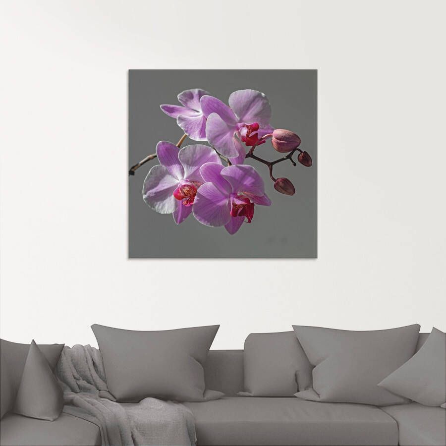 Artland Print op glas Orchideeën Droom in verschillende maten