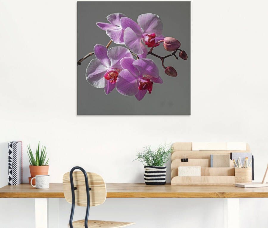 Artland Print op glas Orchideeën Droom in verschillende maten