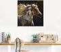 Artland Print op glas Paard in verschillende maten - Thumbnail 2