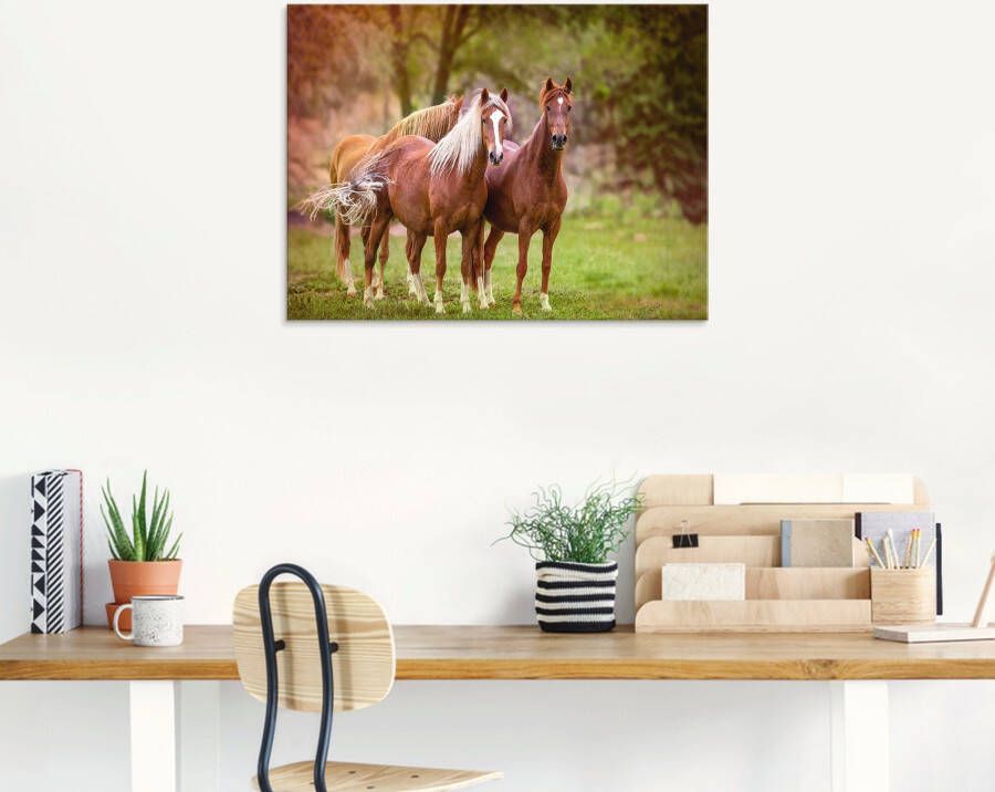 Artland Print op glas Paarden in de velden I - Foto 2