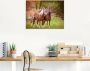 Artland Print op glas Paarden in de velden I - Thumbnail 2