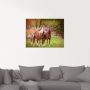 Artland Print op glas Paarden in de velden I - Thumbnail 3