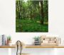 Artland Print op glas Panorama van een groen zomerbos - Thumbnail 2