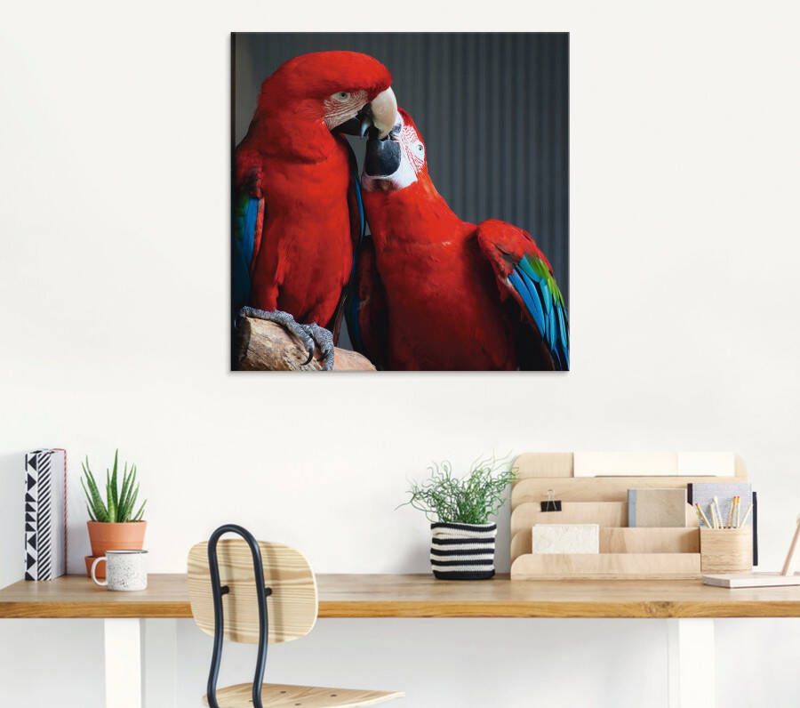 Artland Print op glas Papegaaien in verschillende maten