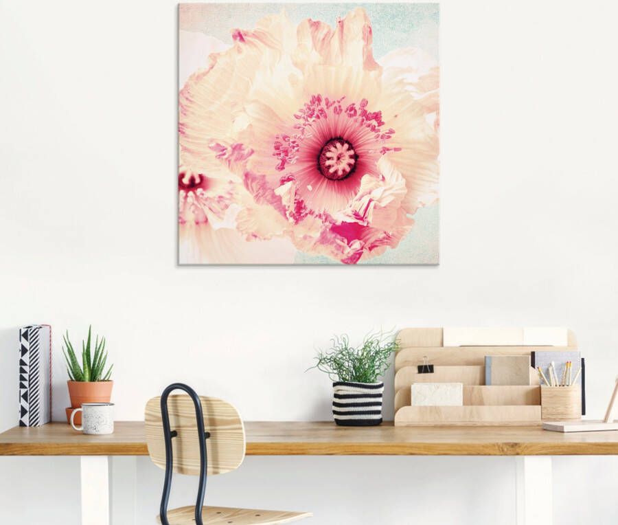 Artland Print op glas Pastel papaver in verschillende maten