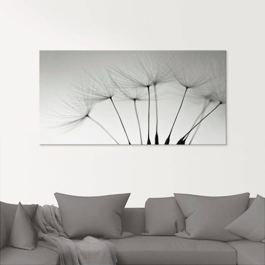 Artland Print op glas Pluizebolzaadjes I in verschillende maten
