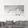 Artland Print op glas Pluizebolzaadjes I in verschillende maten - Thumbnail 2
