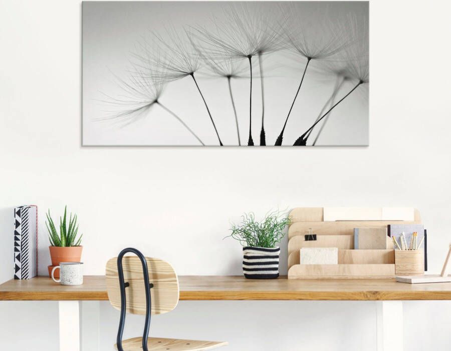 Artland Print op glas Pluizebolzaadjes I in verschillende maten