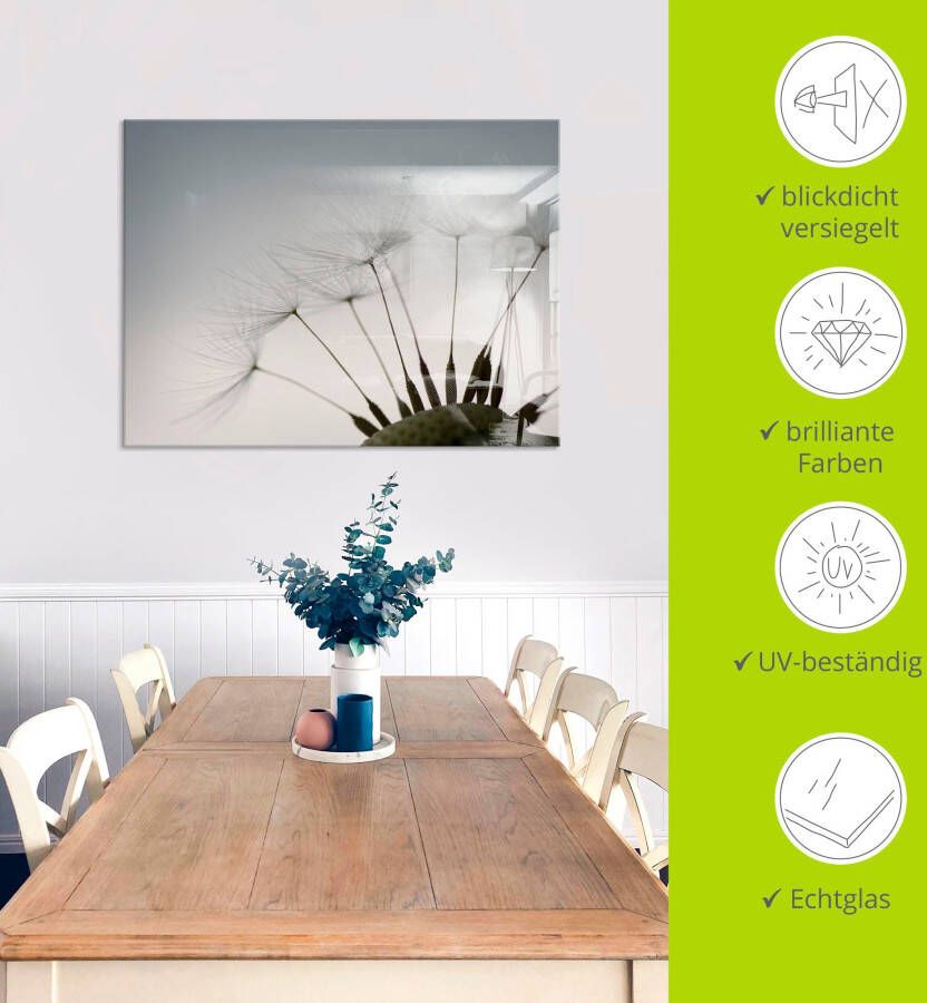 Artland Print op glas Pluizebolzaadjes I in verschillende maten