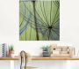 Artland Print op glas Pluizebolzaadjes II in verschillende maten - Thumbnail 3
