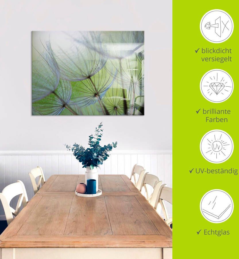 Artland Print op glas Pluizebolzaadjes II in verschillende maten