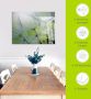 Artland Print op glas Pluizebolzaadjes II in verschillende maten - Thumbnail 4
