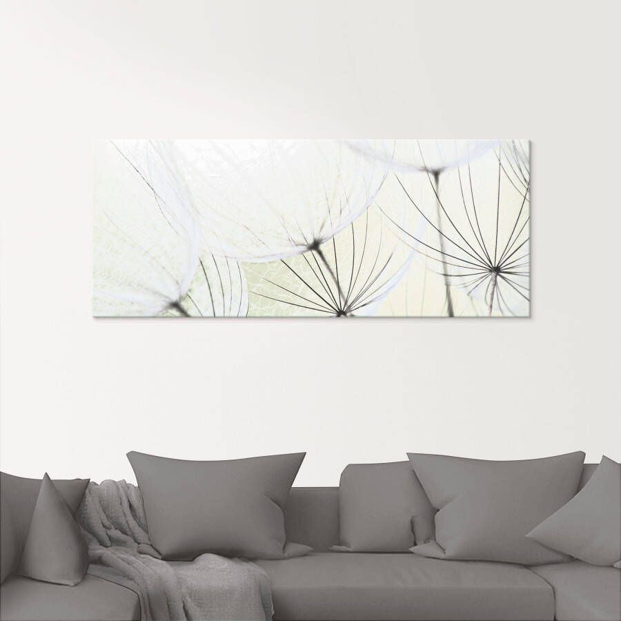 Artland Print op glas Pluizebolzaadjes lichter gemaakt