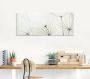 Artland Print op glas Pluizebolzaadjes lichter gemaakt - Thumbnail 3