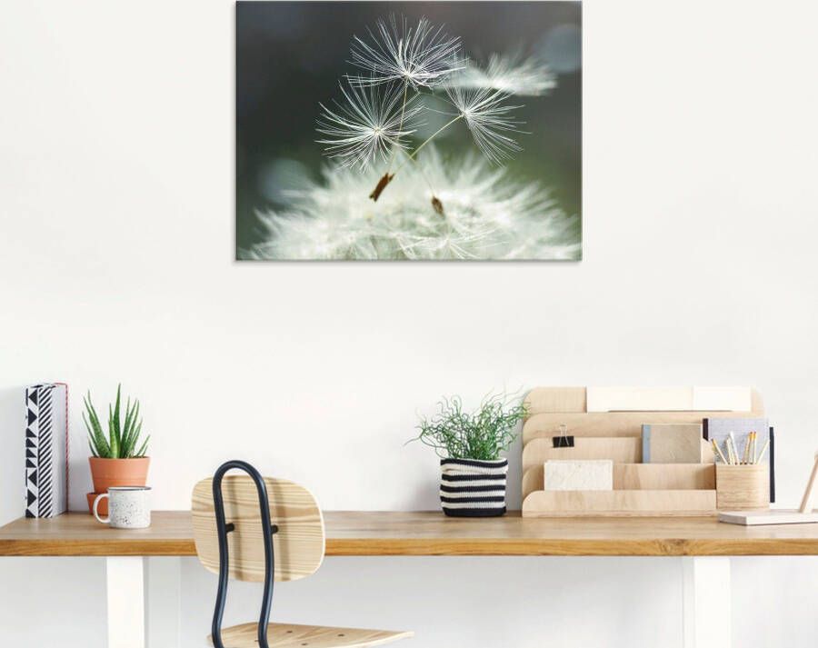 Artland Print op glas Pluizenbol Facility in verschillende maten