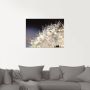 Artland Print op glas Pluizenbol fantasie in verschillende maten - Thumbnail 2
