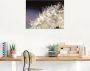 Artland Print op glas Pluizenbol fantasie in verschillende maten - Thumbnail 3