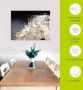 Artland Print op glas Pluizenbol fantasie in verschillende maten - Thumbnail 6