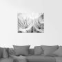 Artland Print op glas Pluizenbol in zwart-wit - Thumbnail 2