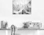 Artland Print op glas Pluizenbol in zwart-wit - Thumbnail 3