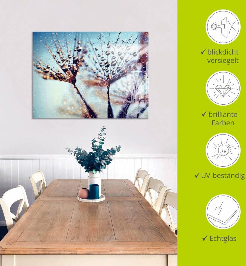 Artland Print op glas Pluizenbol regen abstract