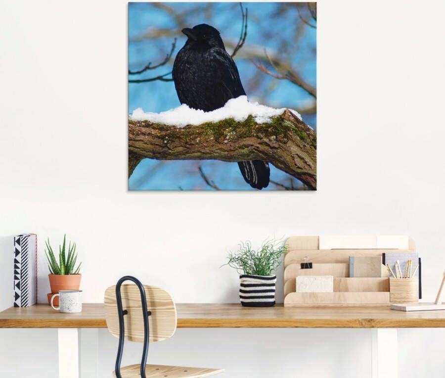 Artland Print op glas Raaf in de winter in verschillende maten