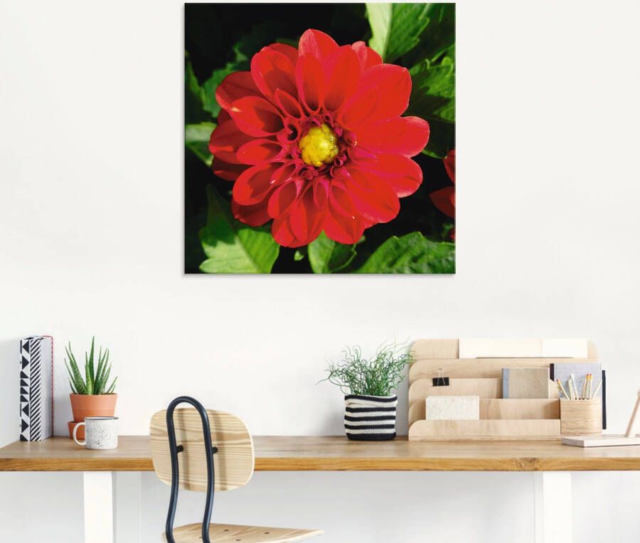 Artland Print op glas Rode dahlia in verschillende maten