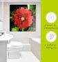 Artland Print op glas Rode dahlia in verschillende maten - Thumbnail 5