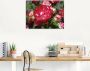 Artland Print op glas Rood witte roos in verschillende maten - Thumbnail 2
