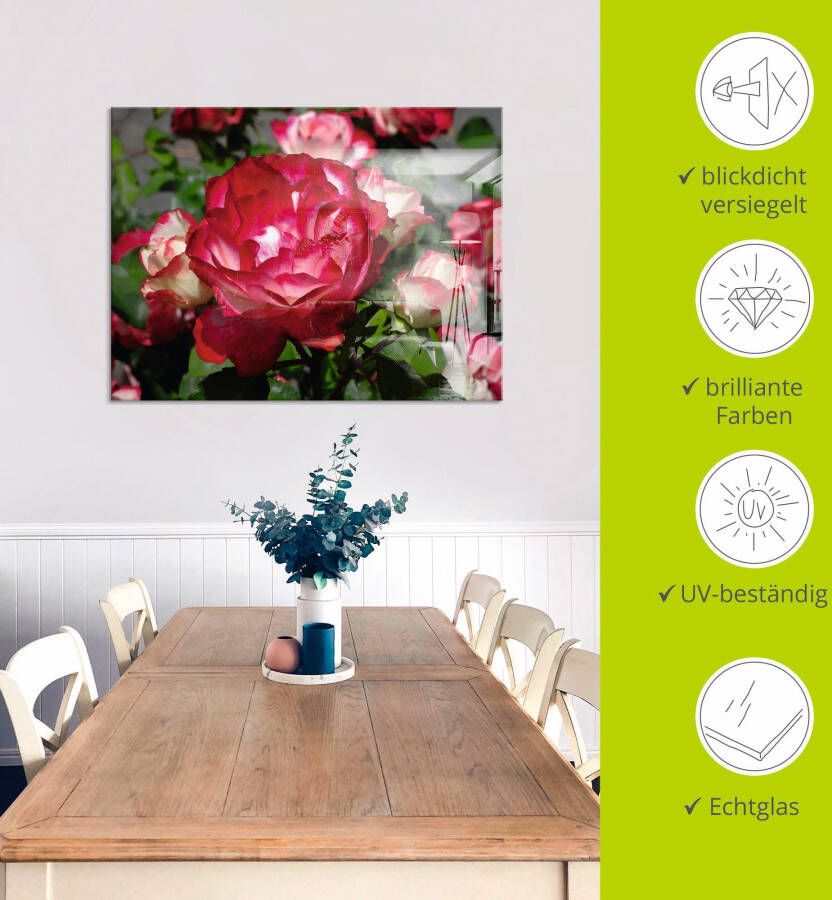 Artland Print op glas Rood witte roos in verschillende maten
