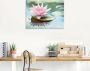 Artland Print op glas Roze waterlelie in verschillende maten - Thumbnail 2