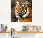 Artland Print op glas Tiger_sepia in verschillende maten - Thumbnail 3