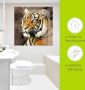 Artland Print op glas Tiger_sepia in verschillende maten - Thumbnail 5