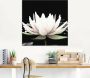 Artland Print op glas Twee lotusbloemen op het water - Thumbnail 3