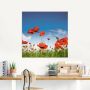 Artland Print op glas Veld met klaprozen onder de hemel - Thumbnail 2