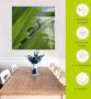 Artland Print op glas Waterdruppels op grasspriet - Thumbnail 5