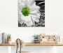 Artland Print op glas Witte bloem in verschillende maten - Thumbnail 2