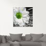 Artland Print op glas Witte bloem in verschillende maten - Thumbnail 3