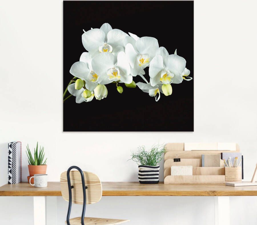 Artland Print op glas Witte orchidee op een zwarte achtergrond
